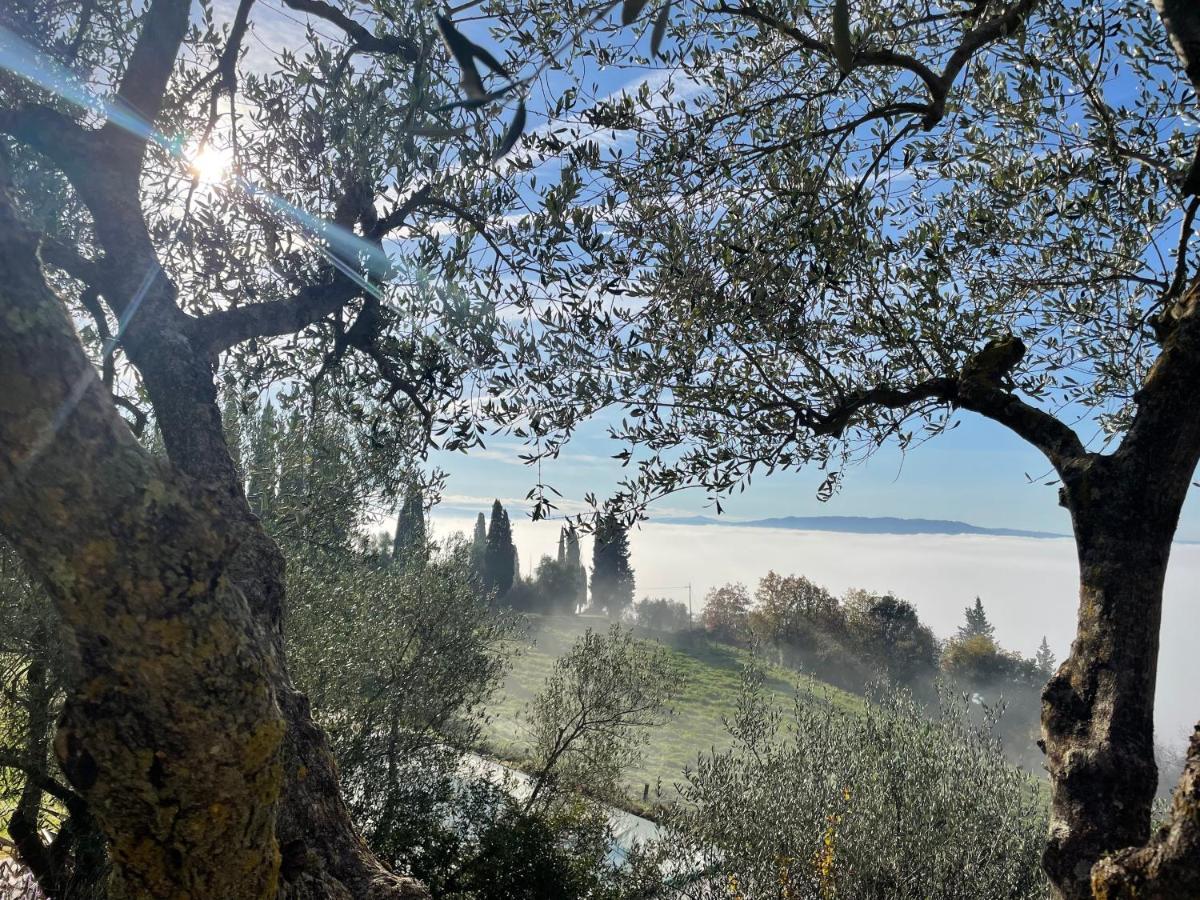 Country House Art And Garden Monte Antico Exterior foto